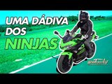 MAIS LEVE E MAIS POTENTE: GERSON FOI CONHECER A NOVA KAWASAKI NINJA 400 - ACELEMOTOS #6