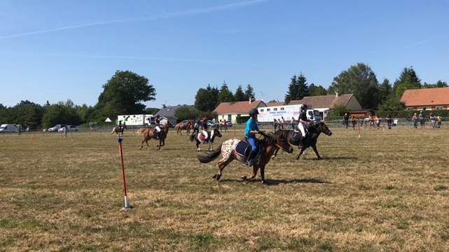 La fête du cheval et du taureau à Savigné-l’Évêque