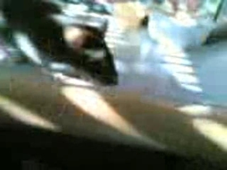 rat