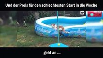 Egal wie schlecht dein Start in die Woche war - die Katze im Video hat es definitiv schlechter getroffen :D :D