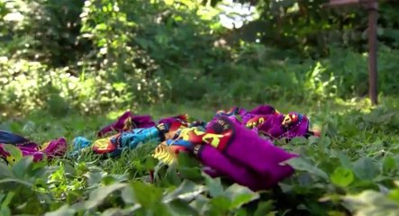 Australian Survivor S04 - Ep16  16 HD Watch