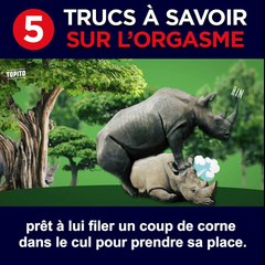 L'orgasme, vous connaissez ? Il paraît que c'est sympa