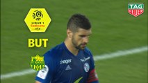 But Stefan MITROVIC (34ème csc) / RC Strasbourg Alsace - FC Nantes - (2-3) - (RCSA-FCN) / 2018-19
