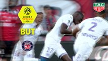 But Ibrahim SANGARE (12ème) / EA Guingamp - Toulouse FC - (1-2) - (EAG-TFC) / 2018-19
