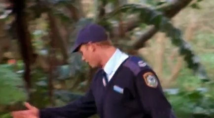 Water Rats S04  E31 Mr  Medium - Part 01