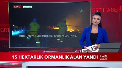 15 Hektarlık Ormanlık Alan Yandı