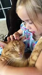 Canción de cuna para un gato