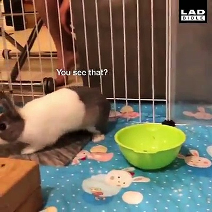 It's a simple demand, just feed him! 麻糬的華麗冒險-冰抖哥
