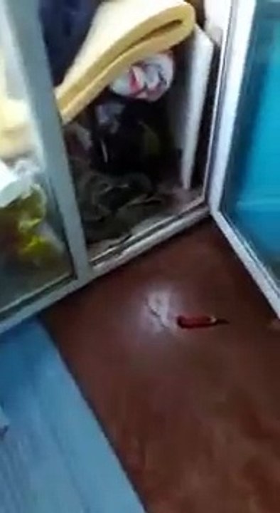 Cómo el coreano puso el laminado