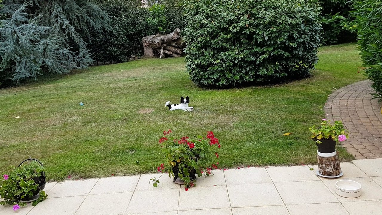 Nouage joue au jardin