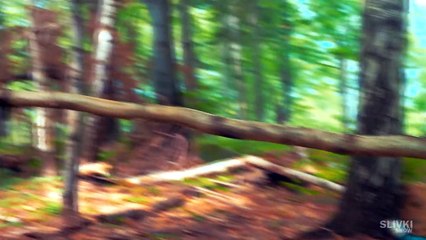 24 ЧАСА В ЛЕСУ - БЕЗ ЕДЫ [2 часть]