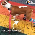 This dog had a rough past, but she has the best dad now and she just got brand new feet! She’s SUPER fast now and has the most epic sock collection — a special