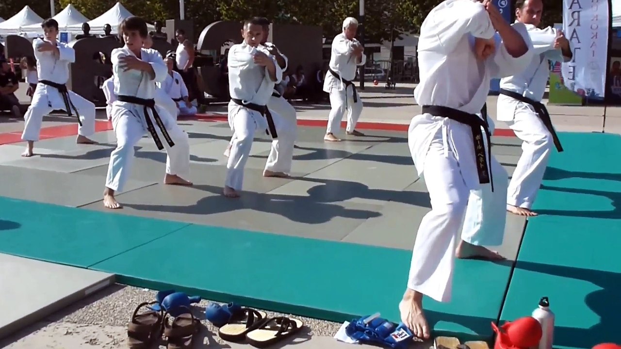 Kata ANANKO forum des associations septembre 2018