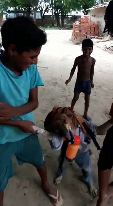 school for only dog..