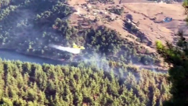 Kahramanmaraş’taki orman yangınında 5 hektar zarar gördü