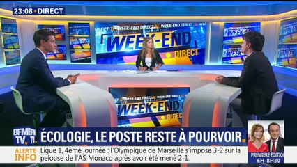 Ministre de l'écologie: Cohn-Bendit ne remplacera pas Hulot (3/3)