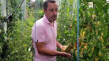 Le Potager de la nuit à Petit-Roeulx-lez-Nivelles