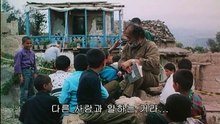 올리브 나무 사이로