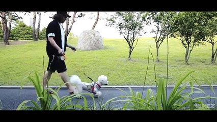 드라이브샤워 (Drive Shower) - ZERO MV