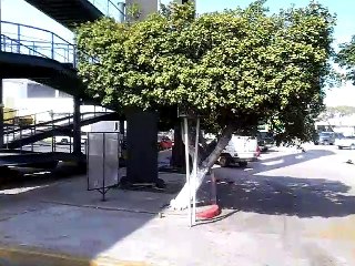 Paseo por Mazatlán 2018