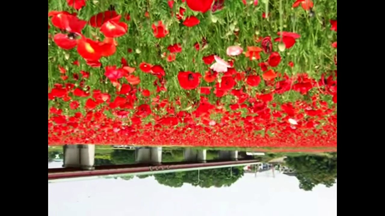 7 videos misteriosos que inspiraron historias de horror