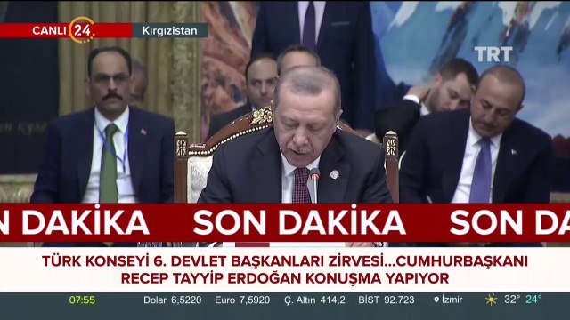 Türk Konseyi