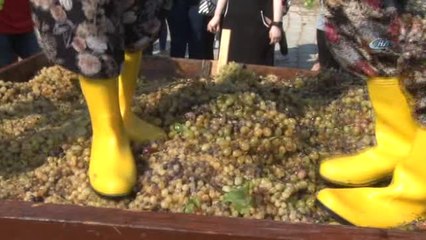 Buca'da Renkli Bağ Bozumu Şenliği