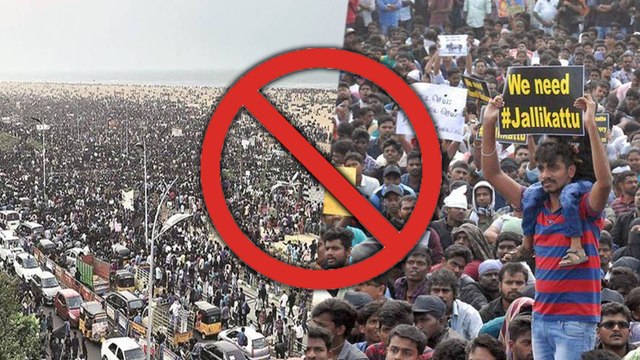 மெரினாவில் போராட்டம் நடத்த உயர்நீதிமன்றம் அனுமதி மறுப்பு- வீடியோ