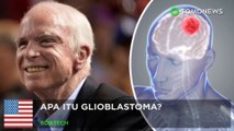 John McCain meninggal karena glioblastoma, apa itu? - TomoNews