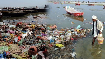 Ganga River के अस्तित्व पर मंडराया खतरा, WWF ने किया चौंकाने वाला खुलासा | वनइंडिया हिंदी