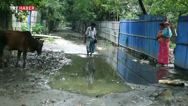 Arakan'da Müslümanlar hayatta kalma mücadelesi veriyor