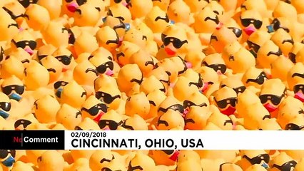 Etats-Unis : une pêche aux canards géante pour la bonne cause