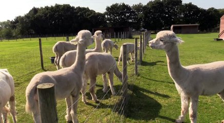 Today's Friendly Face  is Paige!