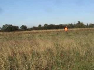 Séquence chasse au lievre Montigny