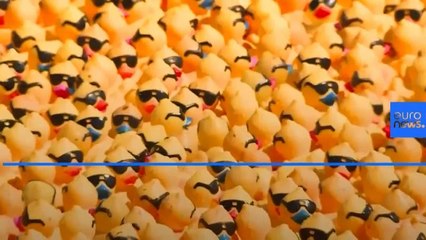 Cincinnati holds Rubber Duck charity race