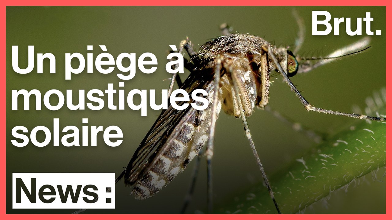 Cet Indien a inventé un piège solaire contre les moustiques