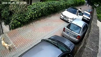 Aksiyon filmlerini aratmayan anlar kamerada... Ünlü armatör Cerrahoğlu’nun yalısına hırsızlık için giren hırsız yakalandı