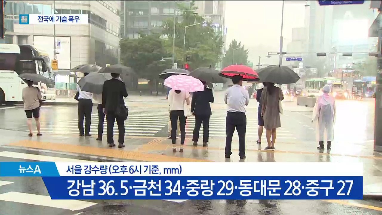기습 폭우에…가로수 쓰러진 서울, 물에 잠긴 남부