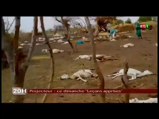 Projecteur : ce dimanche "Leçons apprises"