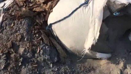 Bilecik'te Kaynağı Bilinmeyen Kimyasal Atıklar Vatandaşları Tedirgin Ediyor