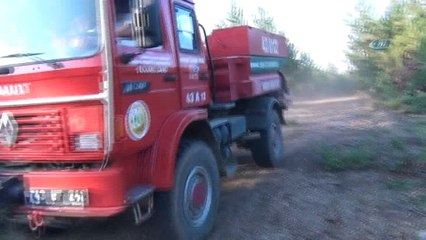 Kütahya'daki orman yangını  kontrol altına alındı