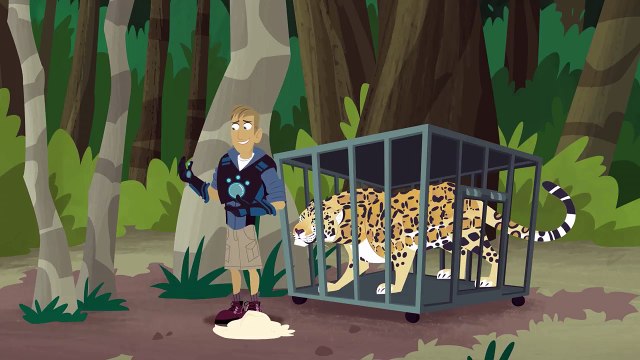 Wild Kratts - Why We Love Nature and Wild Animals
