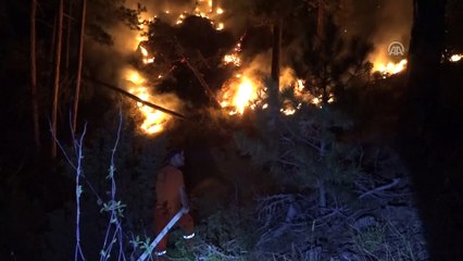 Tavşanlı'da orman yangını - KÜTAHYA