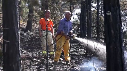 Tavşanlı'daki orman yangınına müdahale sürüyor - KÜTAHYA