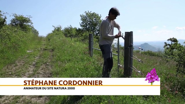 La restauration des coteaux de Gignat, Auvergne-Rhône-Alpes