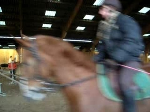 Seance du 21/12/07 oxer à 1m35