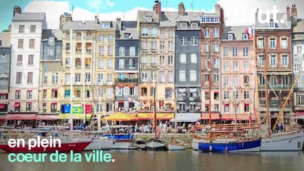 Ils jardinent en plein Paris grâce au "permis de végétaliser"