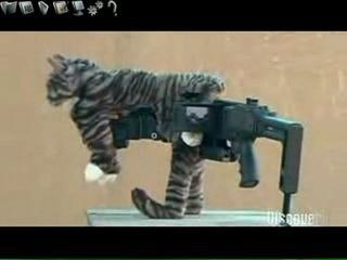 Future Weapons Kitty Cornershot