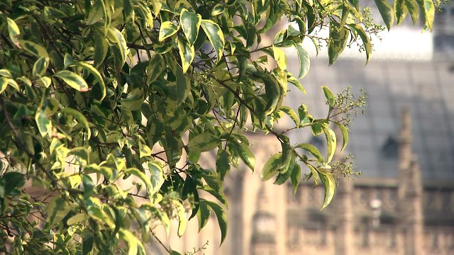 Chequers plan is a 'workable set of proposals' for Brexit