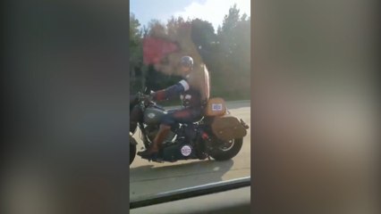 Se consiguieron al Capitán América mientras iban por una autopista